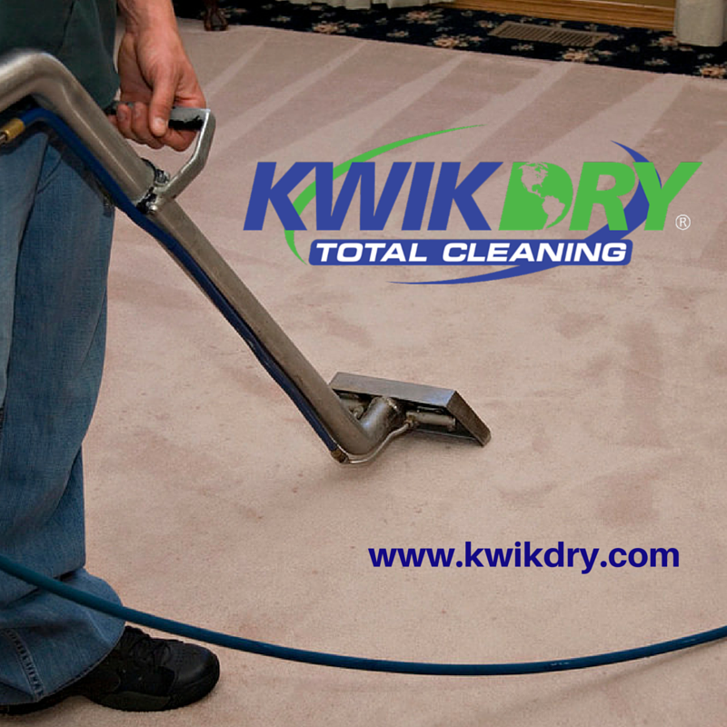 MiamiKwikDry's tweet photo. We want you to see it for yourself! Check out our before &amp; after pics! https://t.co/enXQm4a7Wb #KwickDry #Clean https://t.co/A7id9DGhbz