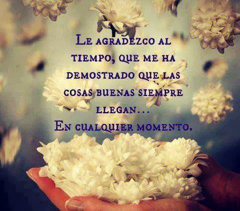 IACC_PAOLA's tweet photo. @Vitaldent_es #somosvitaldent  los mjores profesionales ,l mjor equipoy nuestrospacientes todosjuntos somosvitaldent https://t.co/gmktBRtRWa