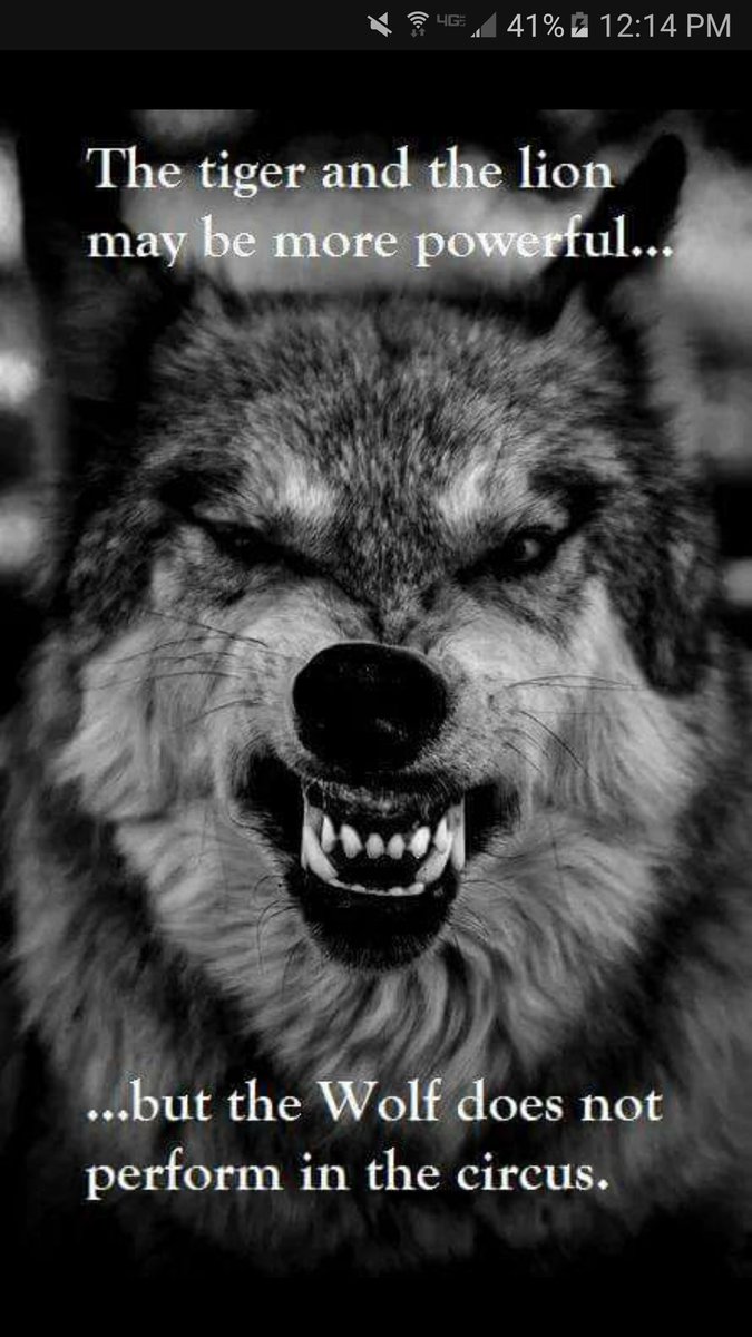 GETBIGFRIDAY's tweet photo. KILL https://t.co/wkbWTp2shr