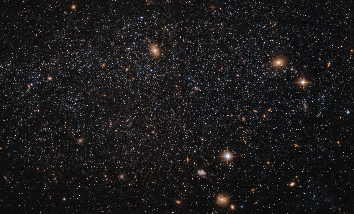 NASA Goddard Images tweet media