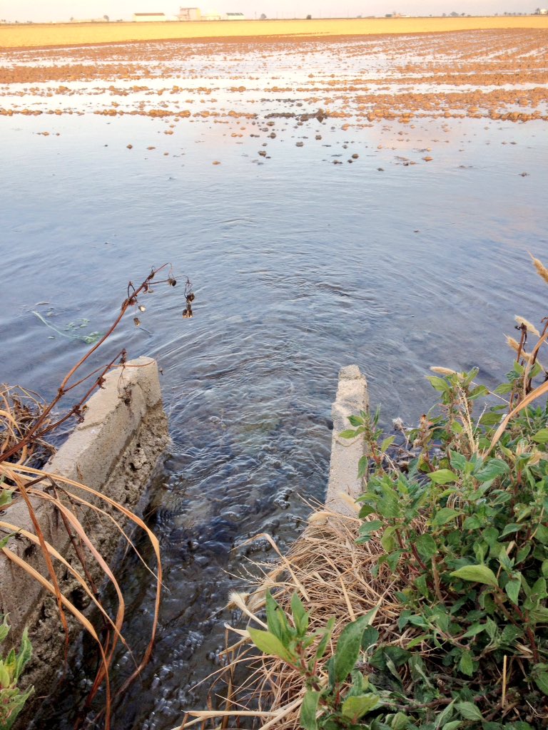 Danideldelta tweet media