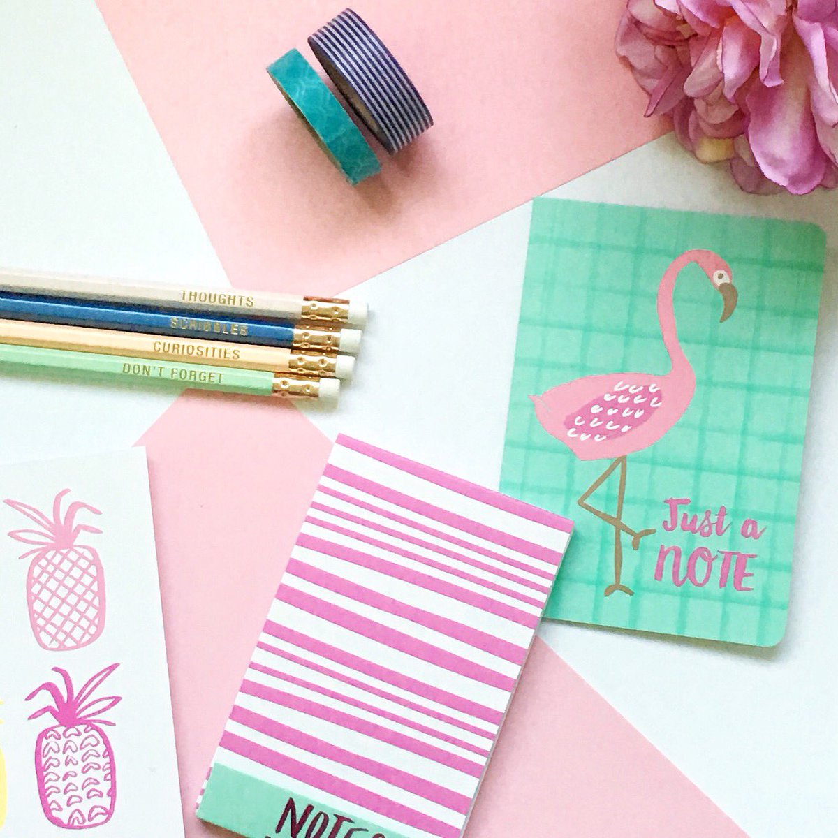 Because flamingos and pink pineapples are my jam! #styledphotos  #BloggingGals #stationeryaddict #planner