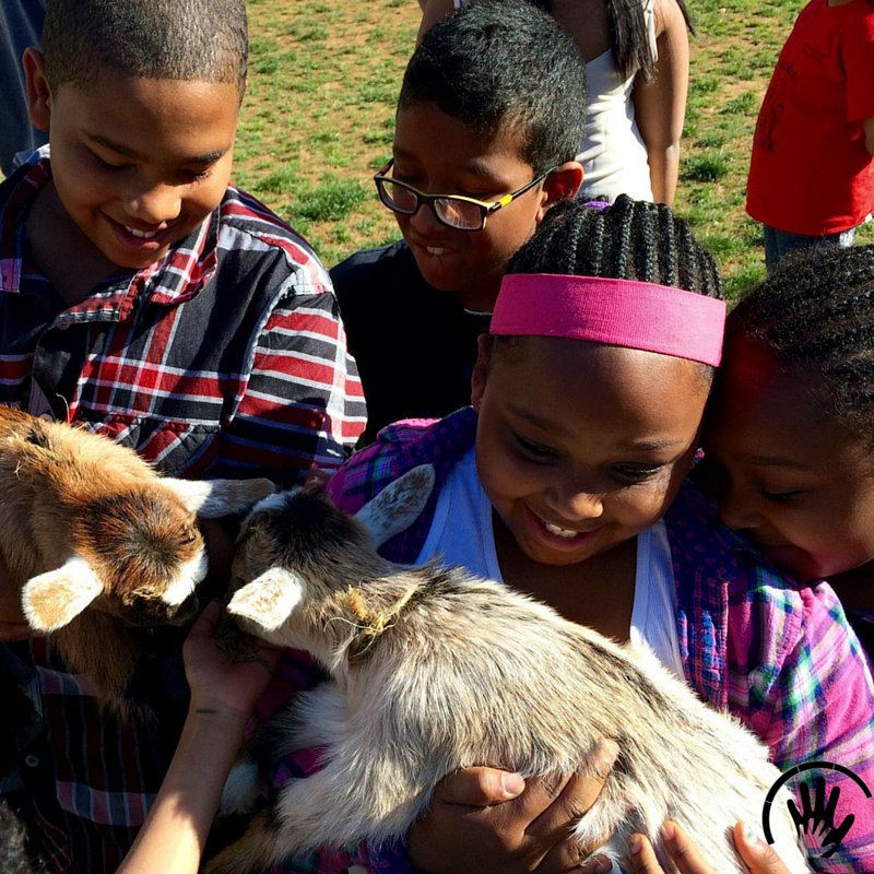 CollegeMentors's tweet photo. Petting Zoo visited the UVA chapter on grounds this week!! #feelgoodfriday https://t.co/30okTP8rqZ