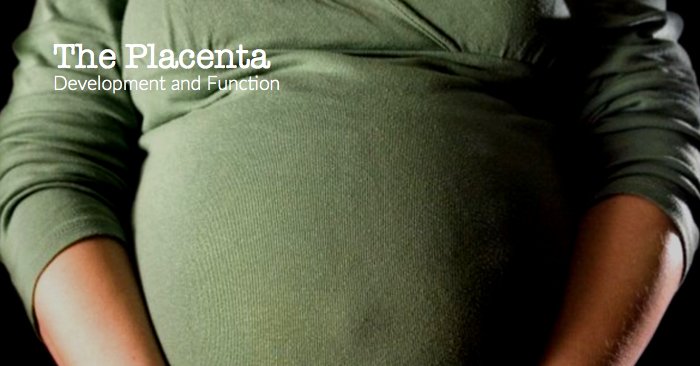 Meducation tweet media