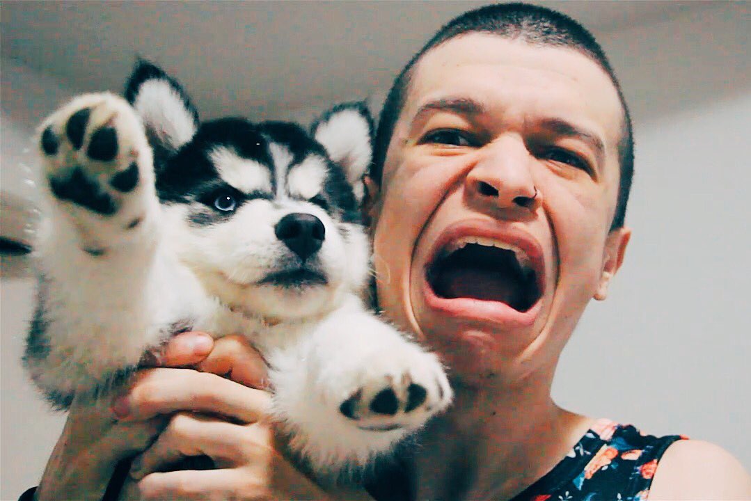 AruanFelix's tweet photo. tem que ver isso aí :

#TeamAramis ou #TeamTusk ? 🐶 https://t.co/kdDzB4EqRy