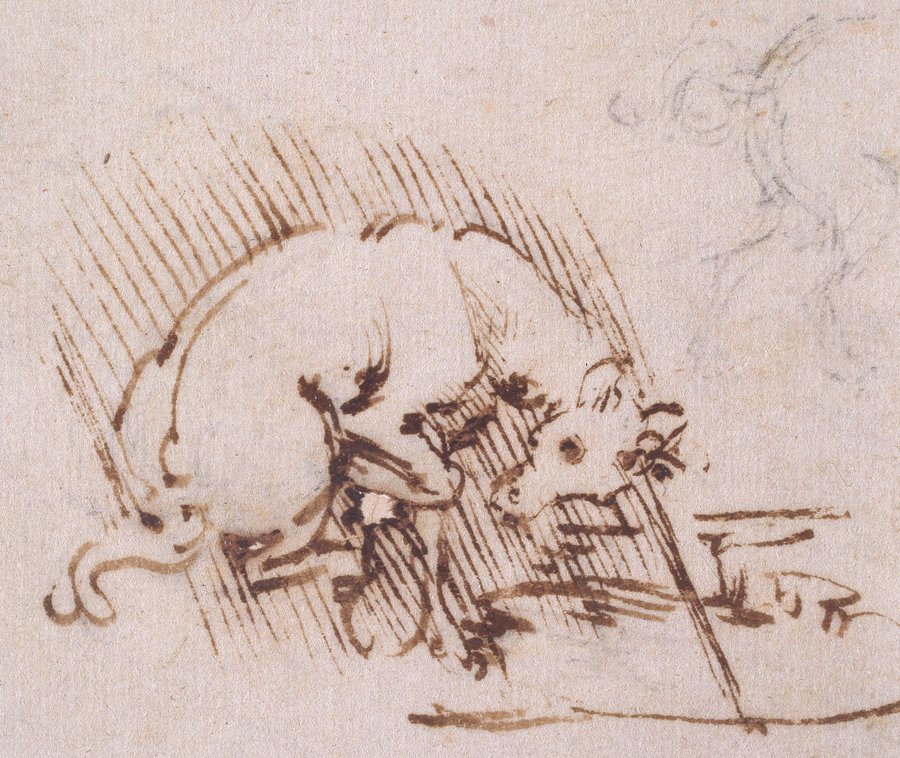 A Unicorn by Leonardo da Vinci, born #onthisday in 1452. Pen, ink &amp; metalpoint  ashmoleanprints.com/image/410910/l…