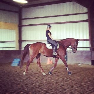 First ride on Galli. He was a perfect gentleman. Makes me both happy and sad. Hope she's proudly watching<a href="/tag/medium"class="tags"><span>#medium</span></a><a href="/tag/stormydaniels"class="tags"><span>#stormydaniels</span></a><a href="/tag/paranormalinvestigator"class="tags"><span>#paranormalinvestigator</span></a>