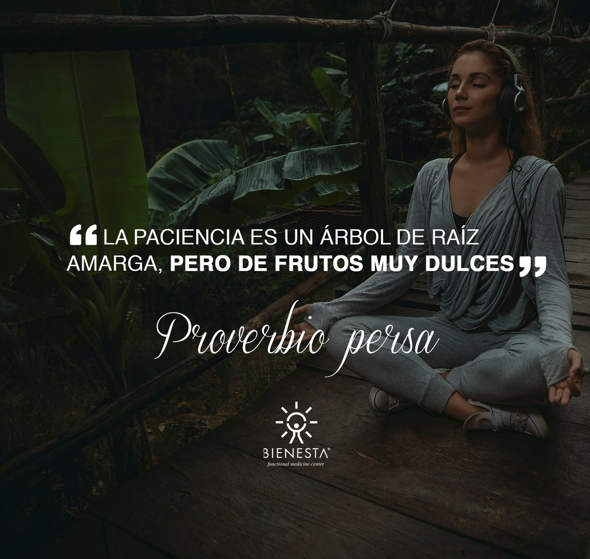 bienestamexico's tweet photo. “La paciencia es un árbol de raíz amarga, pero de frutos muy dulces”. #ProverbioPersa https://t.co/n8tS6Cqo9j