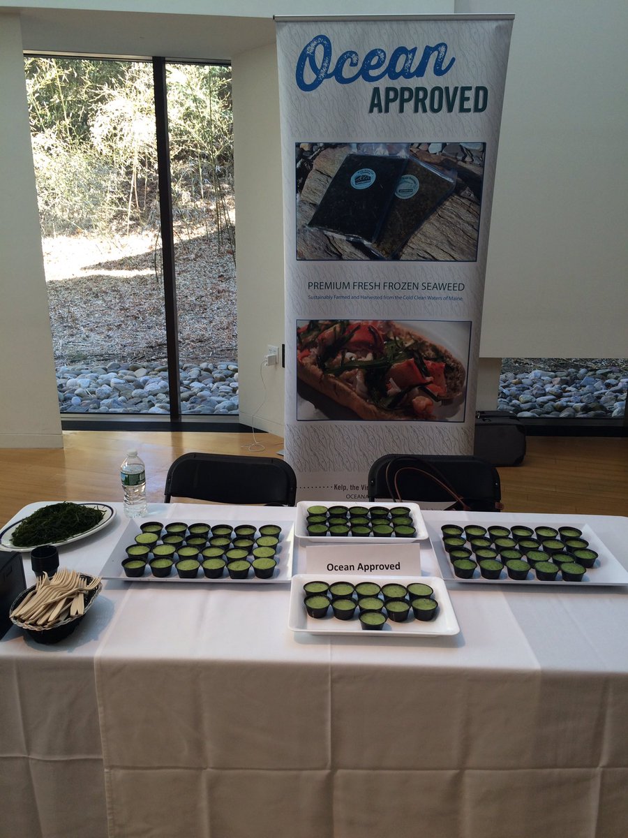 Great day at <a href="/Wellesley/">Wellesley College</a>, so nice to see so many girls come and try the fresh kelp cube smoothies!