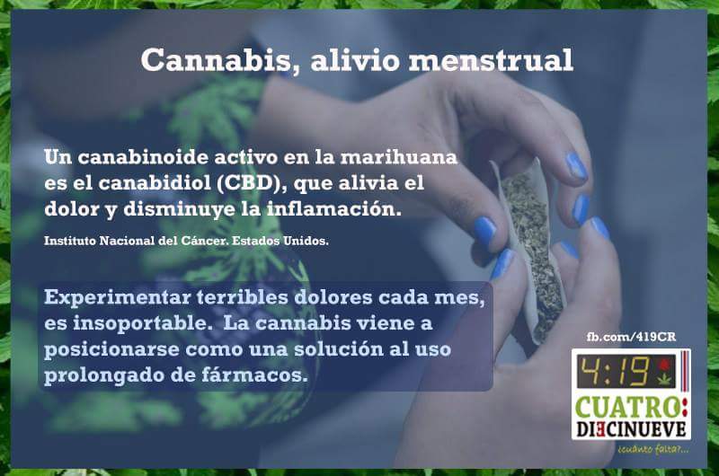 419CR's tweet photo. El canibidiol (CBD) es un cannabinoide que proporciona alivio menstrual. #419CR #Cannabis #menstruafacts https://t.co/Vn6isF0Zrv