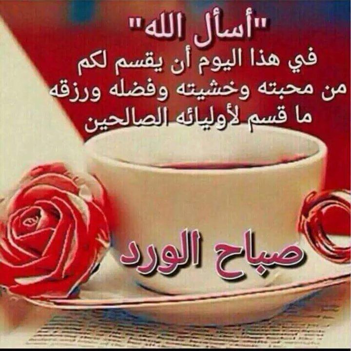 ام الايتام (@ebib281262) on Twitter photo 