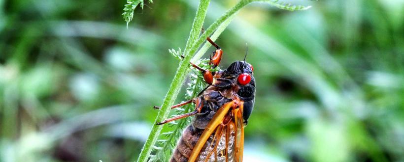 Foraker Labs tweet media