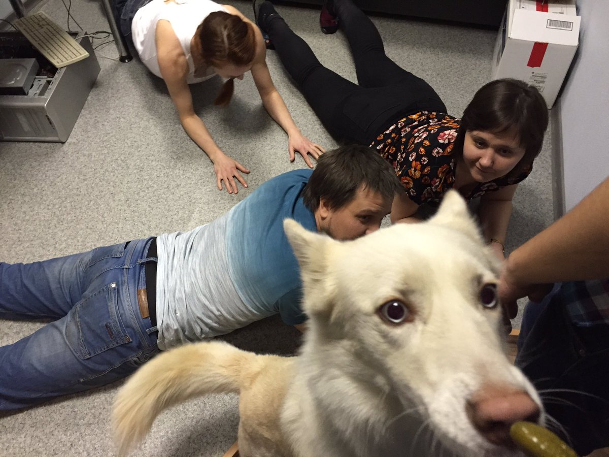 AnjLab's tweet photo. Planking. AnjLab style. 💪🏿👯 #anjlab #9anniversary https://t.co/dMccEMVNl4