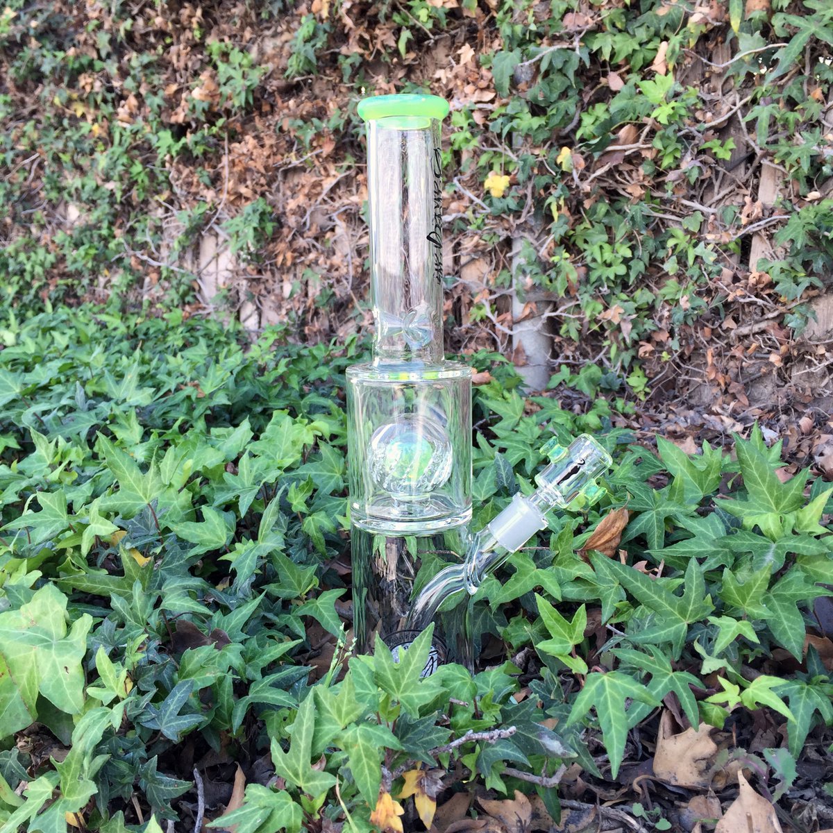 DankGals's tweet photo. Hiding in dinosaur footprint leaves 😏🍁🐲  https://t.co/eFdbvoprJ5 https://t.co/5J7x3COhld