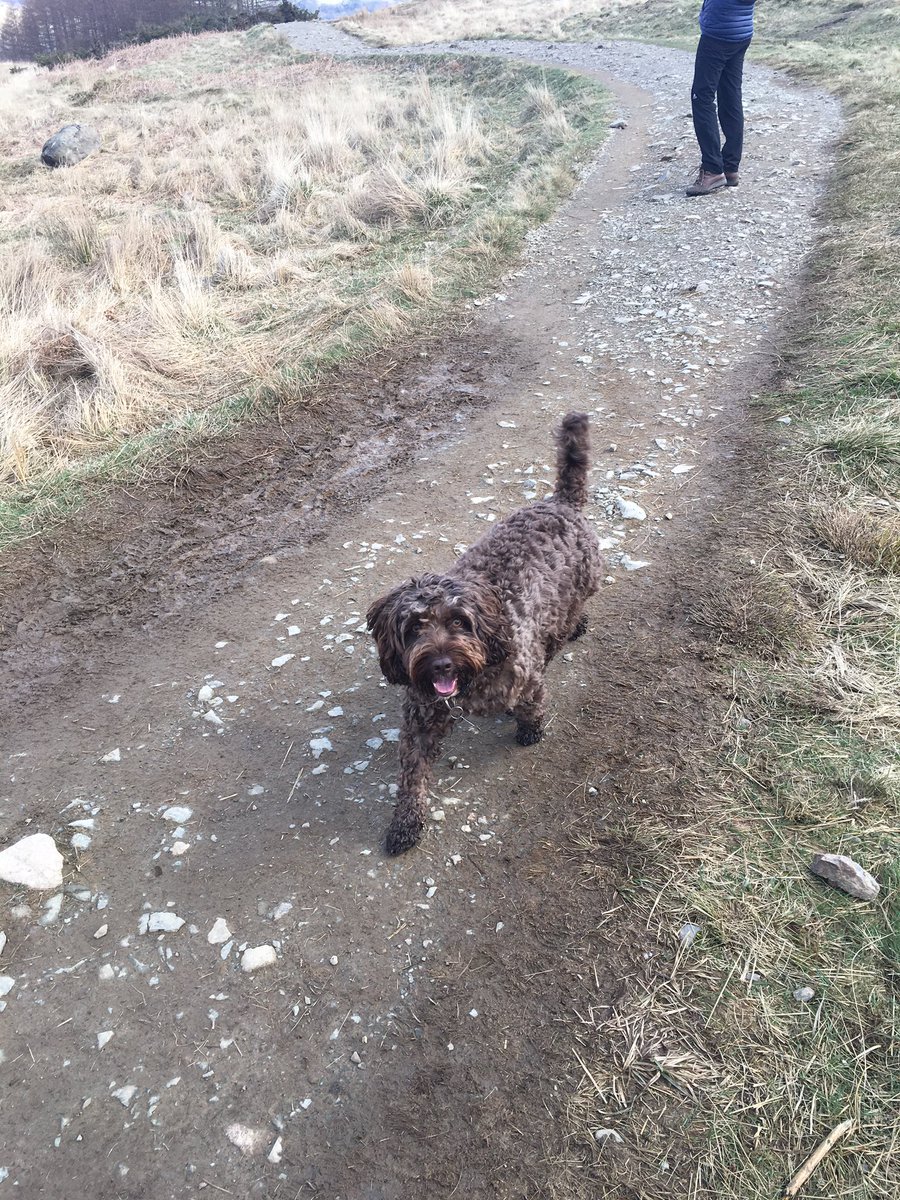 lilghyde's tweet photo. Long walks https://t.co/8wOBiPoTkJ