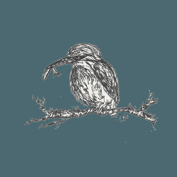 Kingfisher poem writtenwithasmile.com/kingfisher-poe…