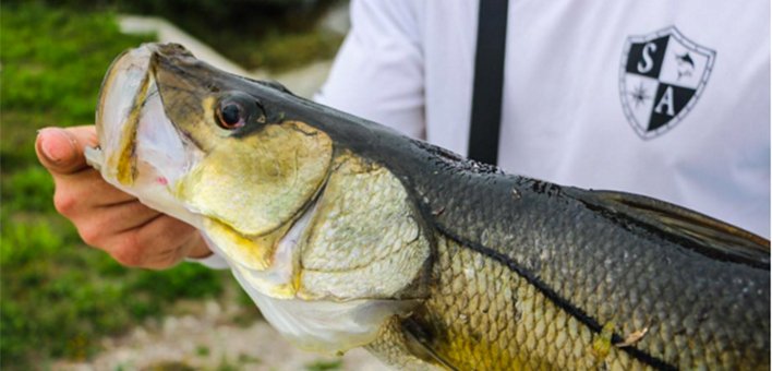 CatchAnythingUS's tweet photo. 3 easy steps any angler can follow to take incredible fishing photos. https://t.co/ZcALWsUfBG #fishing #photography https://t.co/WonN3Cfb3N