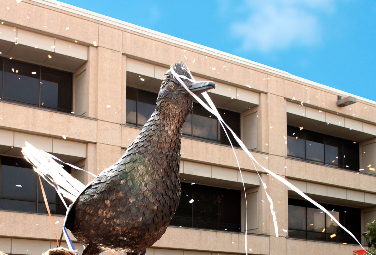 SerenaMirandaTX's tweet photo. #Fiesta!
#WeAreUTSA #UTSASocial #WhyILoveUTSA #BeCountedUTSA
#UTSADonor https://t.co/GYFTizqzDF