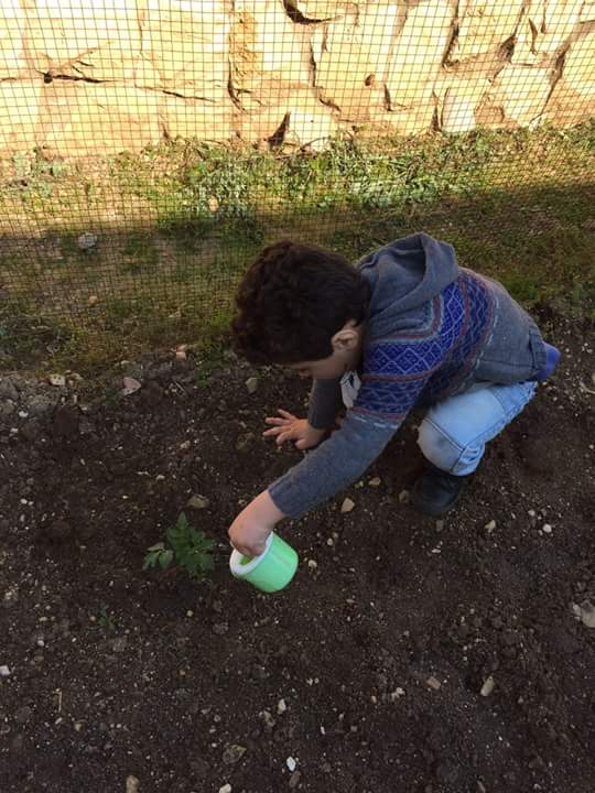 EliteTyr's tweet photo. Nos élèves découvrent l'importance et les différentes étapes de la plantation en GS. https://t.co/mCcRMiOO5O