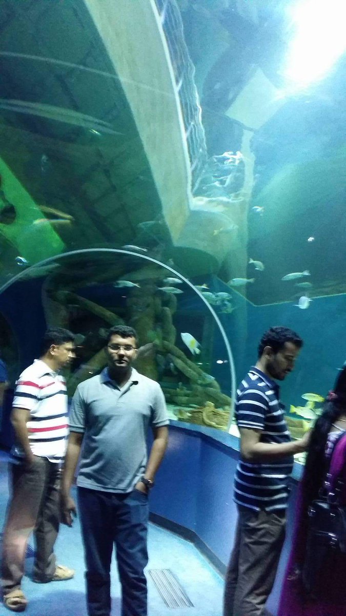 MAGParwana's tweet image. #UAE
SHARJAH AQUARIUM