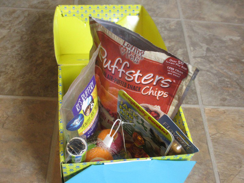 EmilyReviewsCom's tweet photo. SurpriseMyPet Subscription Box Review & 10% off #dealcode @surprisemypet #surprisemypet https://t.co/i73Szw2vWy https://t.co/sBWeJql8lg