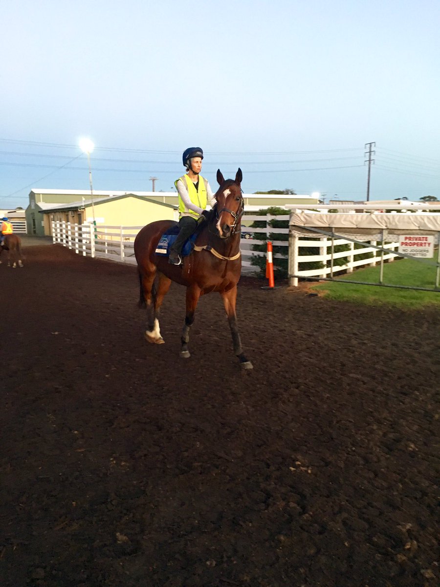 KennewellRacing's tweet photo. So happy to see this bloke back this morning....
#GetTheNod
🏇💨💨💨 https://t.co/X3NME5oXFx