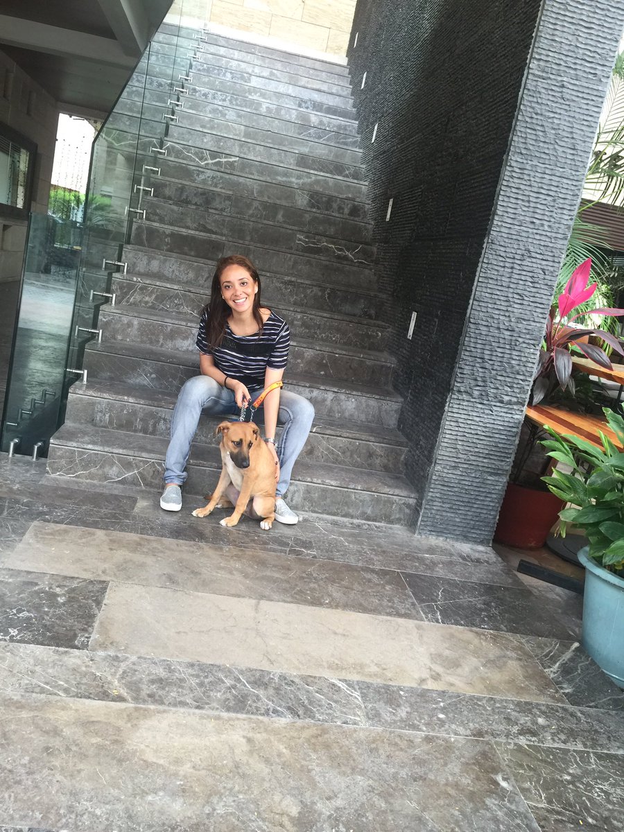 Palorozco's tweet photo. Mi hijo!!! #Pipper ❤️🐶 https://t.co/eEDXsLsP9k