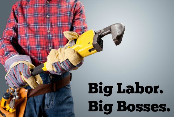 WorkerFreedom's tweet image. The average plumber makes $23/hour. The union's director of Canadian affairs made $611K in 2015. 
#YouReadThatRight