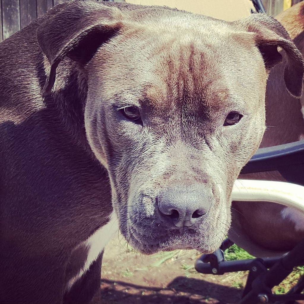 Kina The Pit (@KinaThePit) / Posts / X