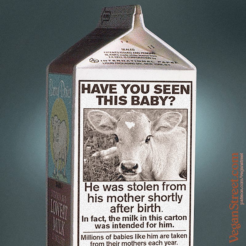 vegan's tweet photo. Brilliant. A must-share from @VeganStreetCom. https://t.co/9BW8V9dsDI