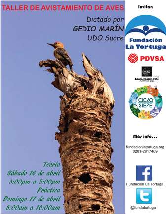 UNCOFAS's tweet photo. Ya estamos por comenzar “@fundatortuga: Taller Básico de Avistamiento de Aves...ow.ly/10nNpr #CicloSiete https://t.co/QWFWlhaibZ”