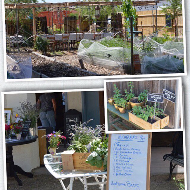 funinthistown's tweet photo. https://t.co/r2UrWHMfB9 Tucked away @TheSimpleFarm #farm in #scottsdale #funinthistown #market #fun #arizona https://t.co/LWczwXx3gC