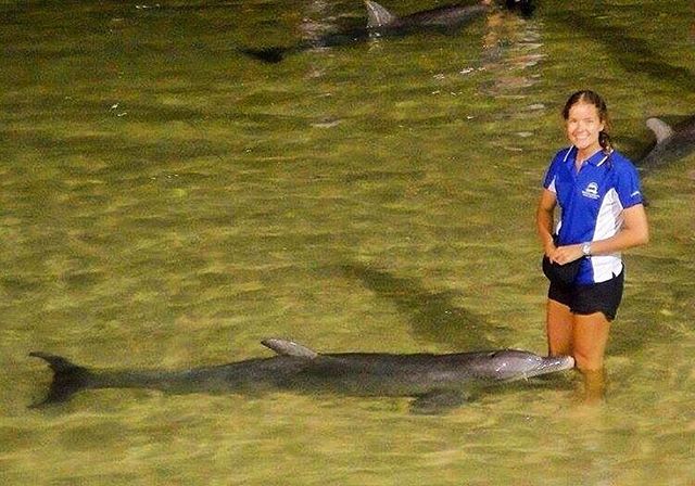 SeaLifeProject's tweet image. Still can't believe I get paid to feed wild dolphins •🐬😊🐬• #ecoranger #lovemyjob #marineco… bit.ly/1Scn9I4