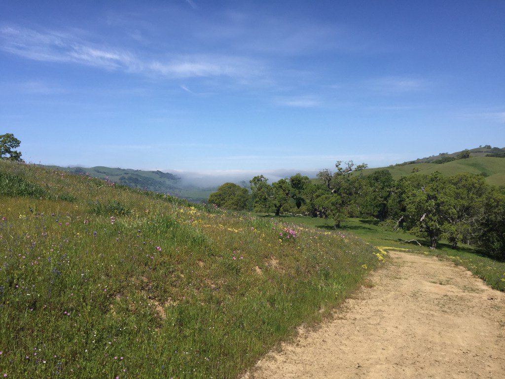 BayAreaWeekend's tweet photo. Need something to do this #weekend? Head to #JosephDGrantPark, #SanJose's best kept secret https://t.co/GtkFG8id2V https://t.co/Nc1MzrFfJS