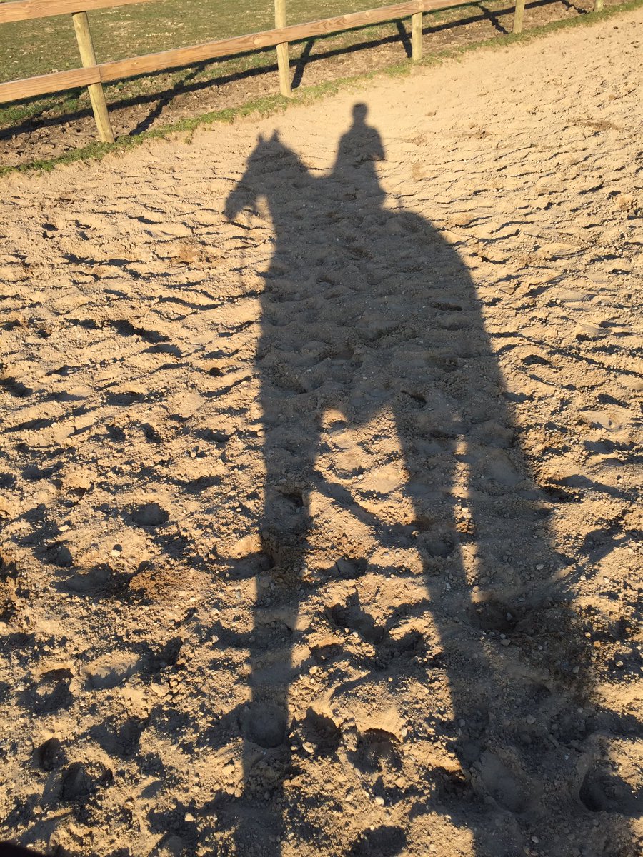nelliebell29's tweet photo. Awesome night at the barn! 🏇 #ridingoutside #horses #naturalhorsemanship #qualityhorsetime #neverenoughhorsetime https://t.co/HhlHzE8qHu