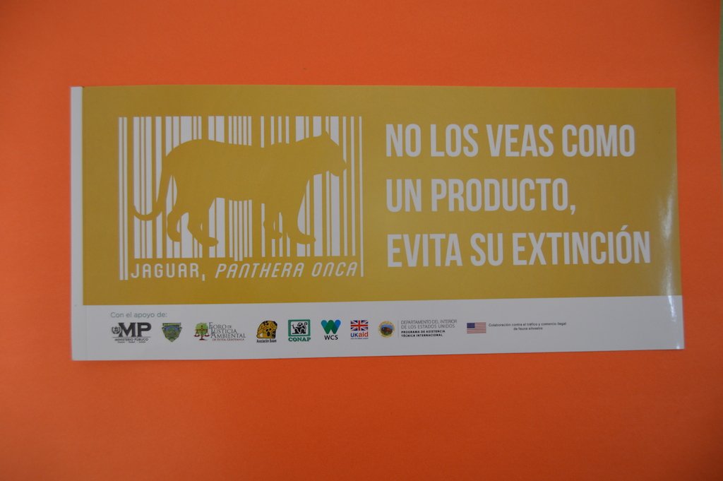 EcocienciaGT's tweet image. El tráfico y comercio ilegal de fauna silvestre es un delito por combatir. goo.gl/MzM18Z @CONAPgt