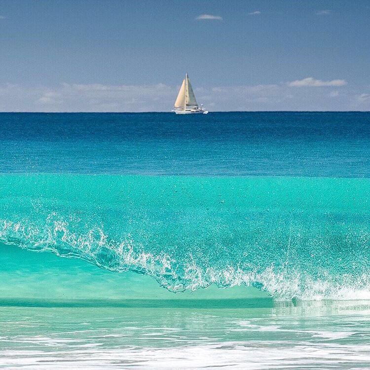 tasmania's tweet photo. The view from #WineglassBay. Jealousy's a curse...(Pic: @luketscharke via IG) #discovertasmania #seeaustralia https://t.co/NVJ3HZc1lx