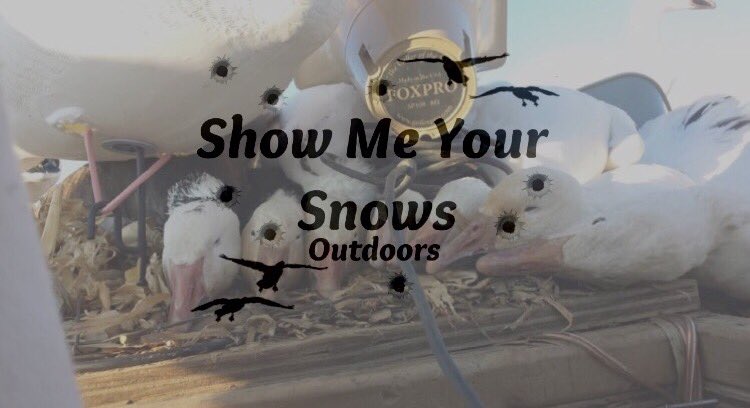 TimberOutdoors's tweet photo. Book a hunt of a lifetime with Rick Hamm and Ryley Hamm from Show Me Your Snows Outdoors! Call Rick now 309-635-5200 https://t.co/SWFzGzvvfj