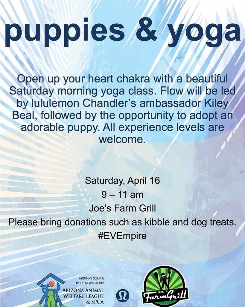 joesfarmgrill's tweet photo. Tomorrow Yoga and Puppies at Joes Farm Grill. #local #community #breakfast #yoga #adoptape… https://t.co/LKiABgumFa https://t.co/gcfxltuNsC