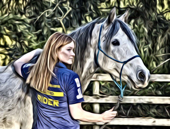 ChaseEndurance's tweet photo. #mongolderby #horses #arabian #endurance #heidi https://t.co/VVZN5DLSIO