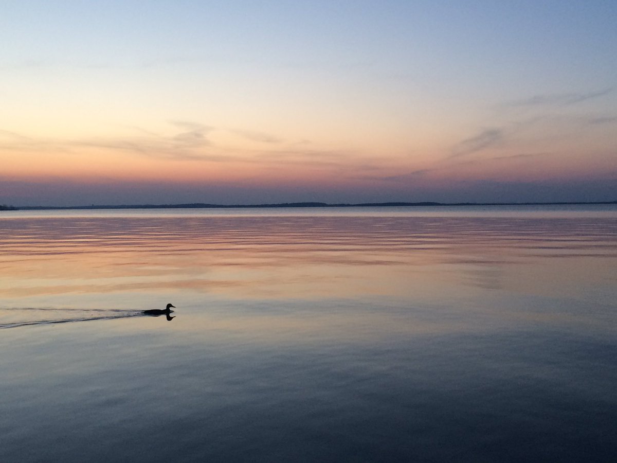 fearlessali's tweet photo. James Madison Park #Madison #Wisconsin https://t.co/DIMHHk2zTz