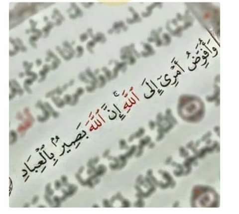 nesren atta (@nesren_atta) on Twitter photo 