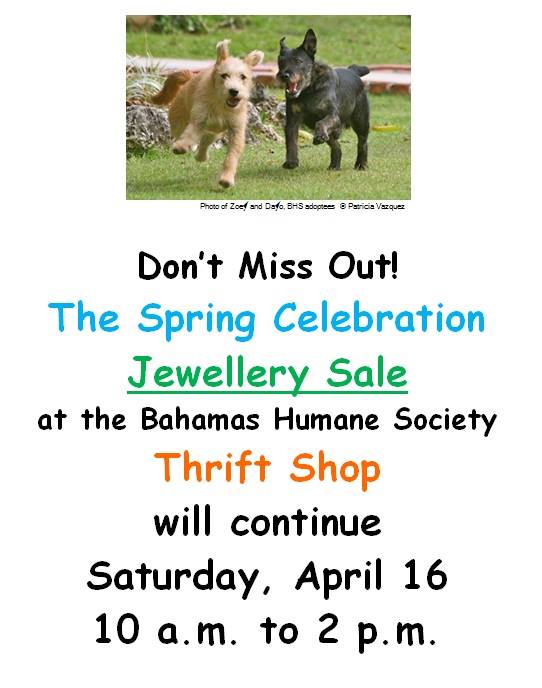 Jewellery Sale - Sat, April 16 - 10 a.m. to 2p.m. at the BHS Thrift Shop! See you there!