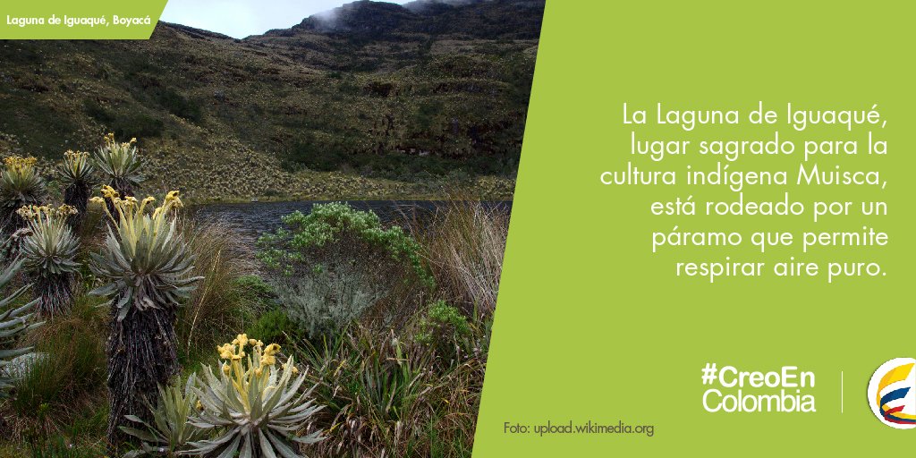 MincomercioCo's tweet photo. Maravillémonos con la fauna y flora de nuestro país recorriendo su patrimonio natural y cultural #CreoEnColombia https://t.co/quZdZQtubx
