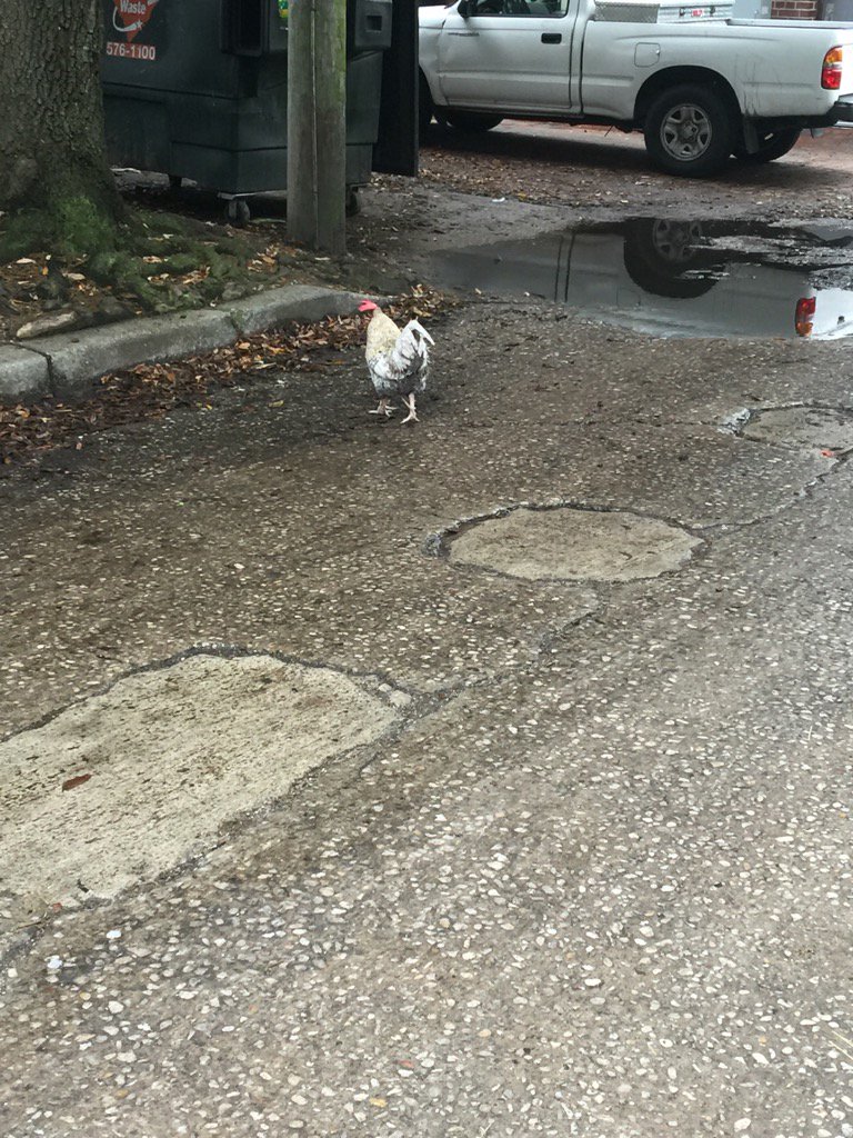 Joy Patterson tweet media