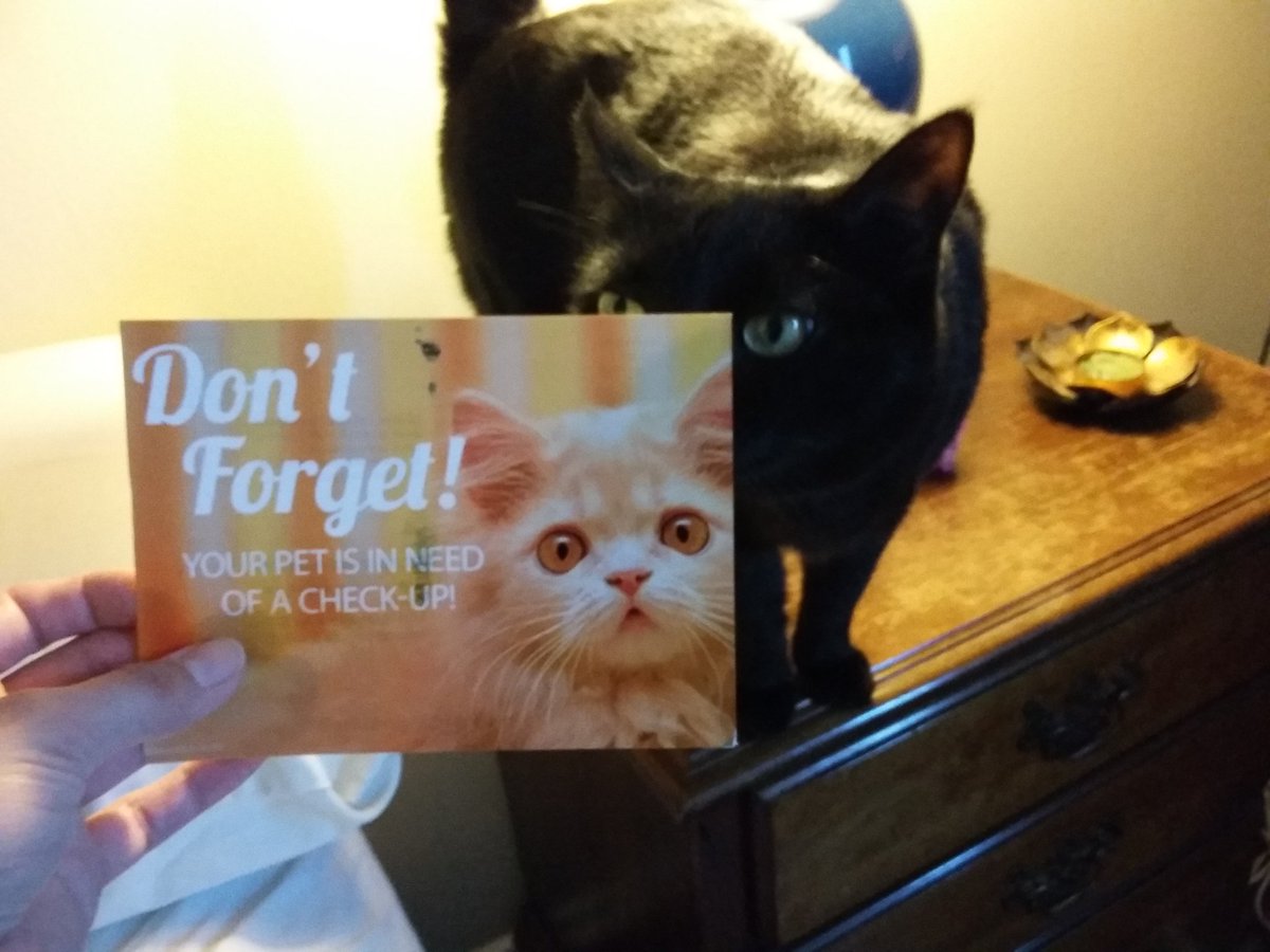 kittysamba's tweet photo. Ugh, I get the worst mail. https://t.co/HwRUgXnCeU