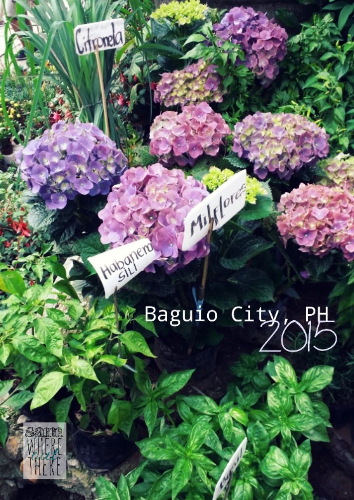 samwherethere's tweet photo. Guide To Baguio City https://t.co/o6zAy9fzqo https://t.co/59NfFgSJRB