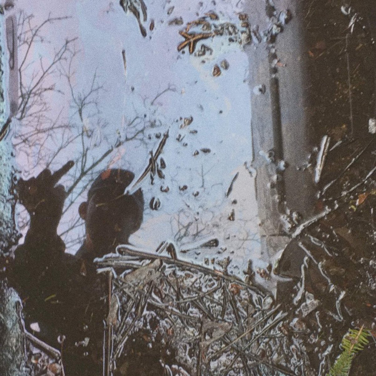 CanisLupusXCV's tweet photo. AFTER SHADOW SEASON

WATERPOOL https://t.co/bsqlDPUQ3z