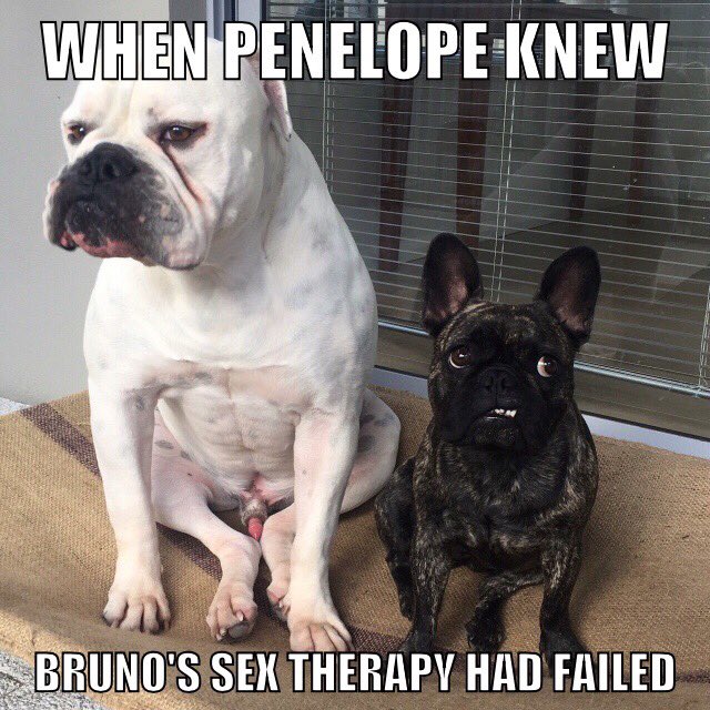 LFFrenchBulldog's tweet photo. https://t.co/Vt8Vli2XVF