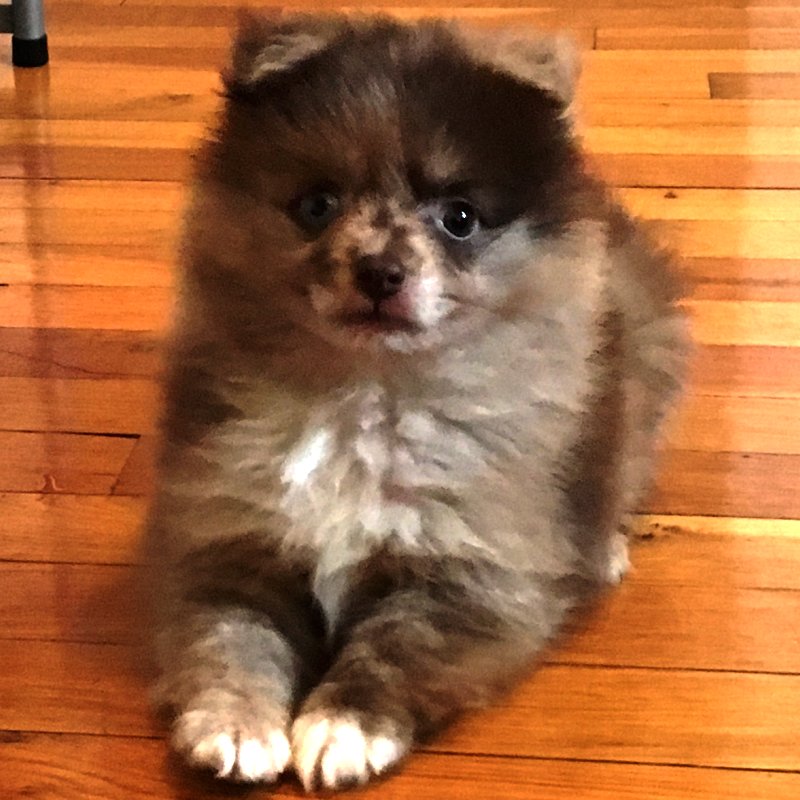 KOSDFF's tweet photo. Made a twitter for @Marble_tK! I'll follow a few that follow him RIGHT NOW!!! RT + LIKE when done!!! GO GO!! <3<3 https://t.co/aNjt1XdCMw